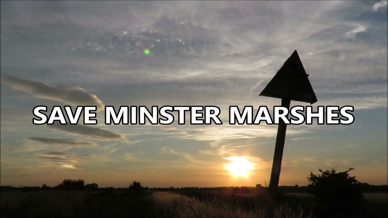 Save Minster Marshes