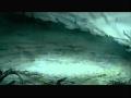 L'oiseau de feu.wmv