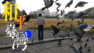 #和平台灣#🕊️無懼以大欺小🕊️