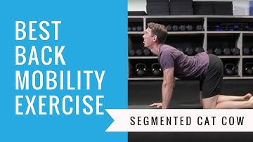 BEST Back Mobility: Segmented Cat Camel [Cat Cow]