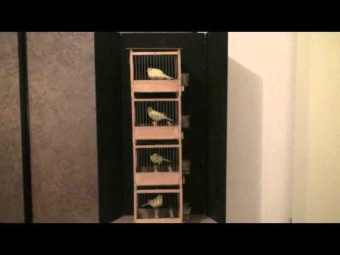 Rachid Popal Harz Roller 2014 From The Netherlands Part 1