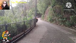 UP THE HILL FROM BOWEN RD TO WANCHAI GAP RD||ADVENTURE#tagamontaniosa #adventure #ofw