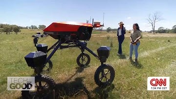 Meet SwagBot, an AI-powered agriculture robot that runs with the herd