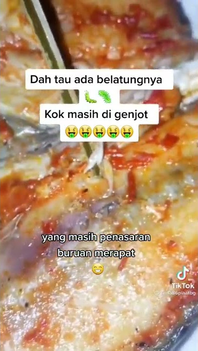 viral belatung tiktok#ulat belatung viral tiktok#ulat belatung d obok obok