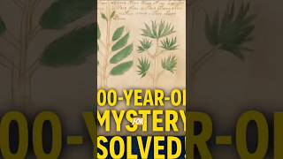 "600-Year-Old Book Finally Decoded by AI! 📜🤯 #VoynichManuscript" #shorts #mystery #youtube