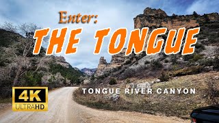 Exploring the Lower Tongue River Canyon