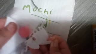 Mochi blind bag ASMR 🍡🍡