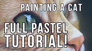 Full Pastel Drawing Tutorial  How to Paint a Photo Realistic Cat