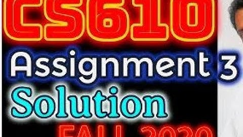 CS610 Assignment No. 3 Solution Fall 2020 complete 100% correct with explanation