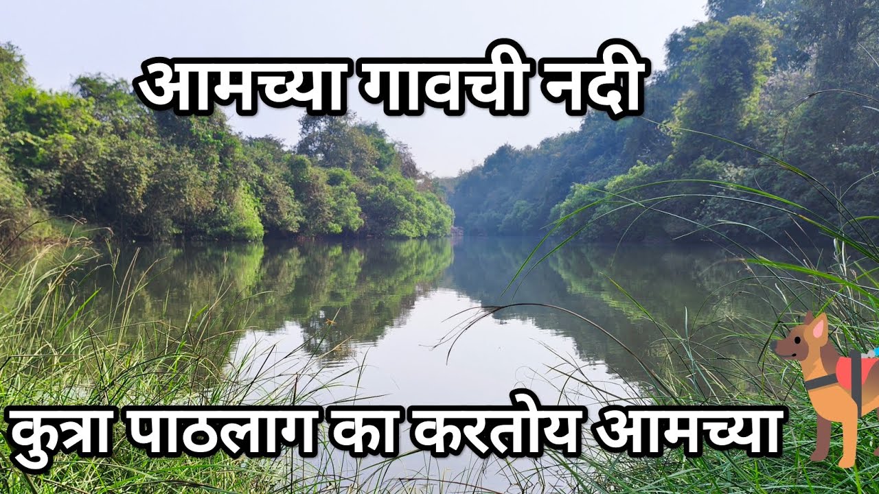 नदीवर गेलो फिरायला,🐦पक्षांचे आवाज,😇 शांतता,🐶 कुत्रा पाठलाग का करतोय #Koloshi##River 