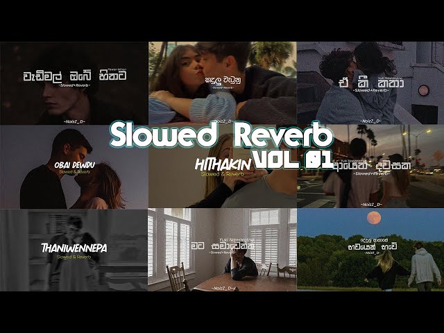 Slowed+Reverb Song Collection VOL.01 (REUPLOADED!)  by @noizzdmusic class=