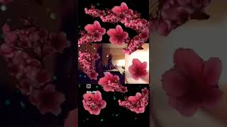 People Much Like Cherry Blossoms Bloom At Their Own Pace And In Their Own Unique Way 