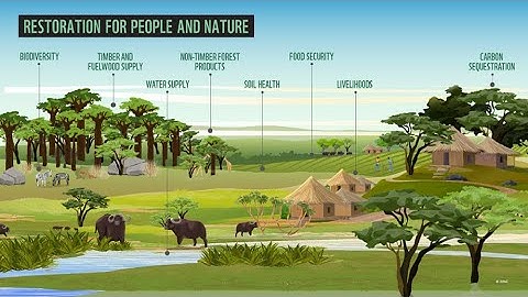 DT Based Case study Delievery | FRM | SNS Institutions