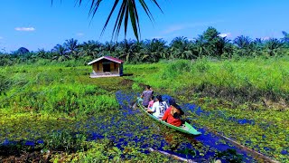 Download Lagu Camping bersama anak istri dirumah terapung MP3 Download Lagu Camping bersama anak istri dirumah terapung MP3