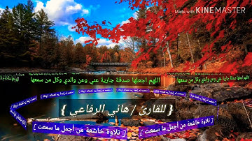 أجمل تلاوة سمعتها  للقارئ | هاني الرفاعي 🌱
