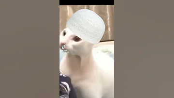 طاهر القلب نقي 