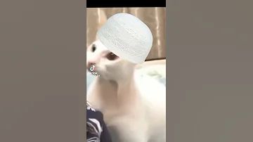 طاهر القلب نقي 