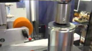 ALS 4310 Profile Labeller.mpg