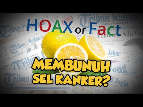 Video: Kehidupan Seharian Yang Tidak Biasa Digodam Dengan Lemon