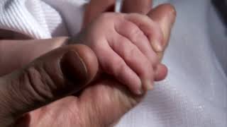 مشهد يد الاب تحتضن يد الطفل الصغير مشهد جاهز للمونتاج معبر عن رعاية الآباء للأبناء ?