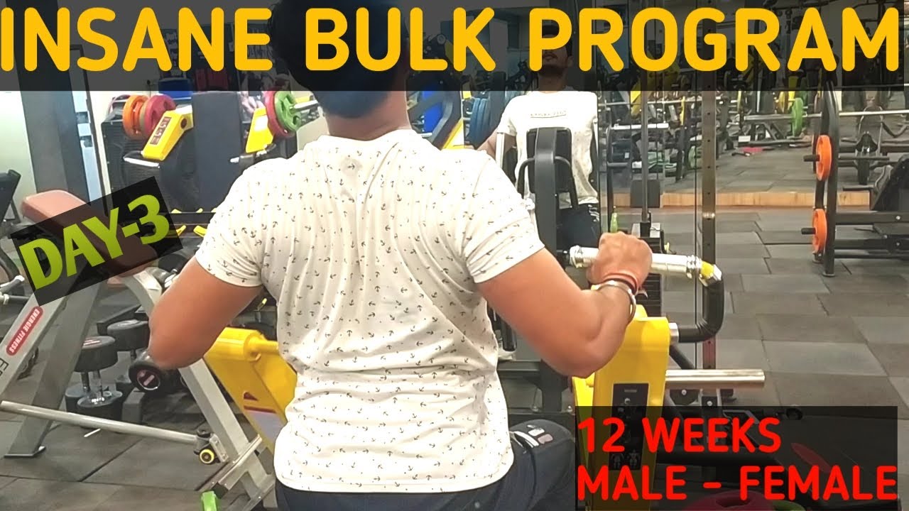 INSANE BULK "DAY 3-PULL"- 12 WEEKS MUSCLE BUILDING PROGRAM | WORKOUT AT GYM 2022