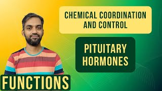 Chemical coordination and integration | Pituitary Hormones | Functions