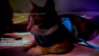 Projection Art Installation | fluid particle interaction | touch particle interaction