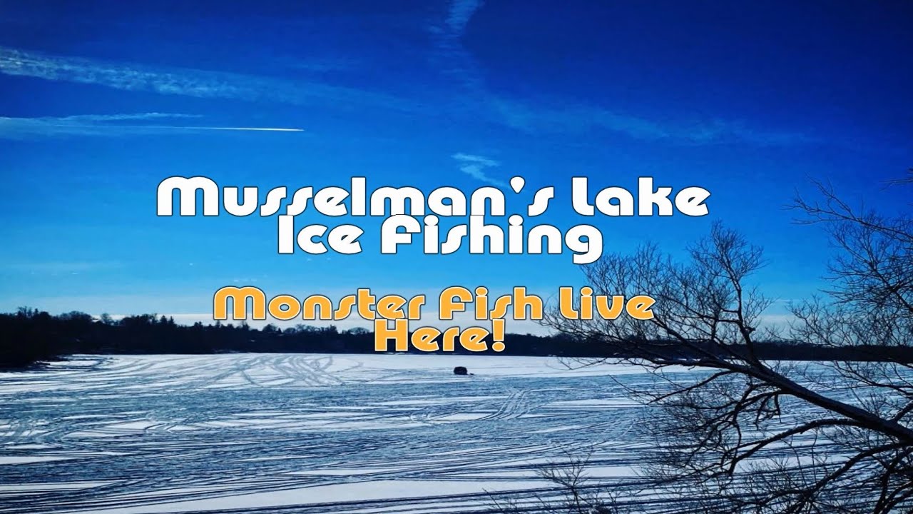 Musselman's Lake WhitchurchStouffville Ice Fishing. Monster Fish Live
