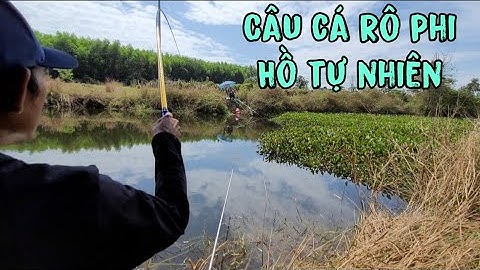 câu cá rô phi tự nhiên cùng sythoaimai trãi nghiệm
