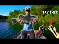 BIG Bass LOVE this SIMPLE Bait! A MUST FISH Summer Bait. Don&#39;t Sleep on This!