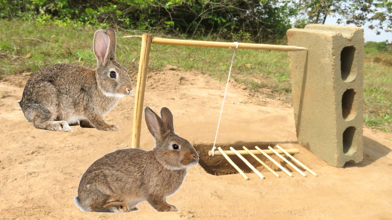 Easy Rabbit Trap Make From Brick That Work 100 YouTube