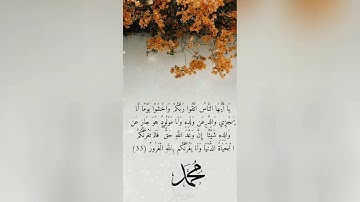 اجمل واروع صوت للقارئ عمر هشام العربي سورة الفاتحة استمع وتدبر