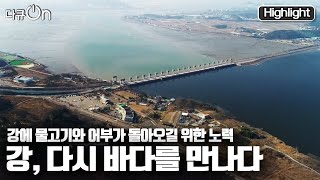 [다큐온] 서로 만나지 못한 🌊강과 바다에는 어떤 일이 벌어졌을까? "강, 다시 바다를 만나다" (KBS 20220211 방송)