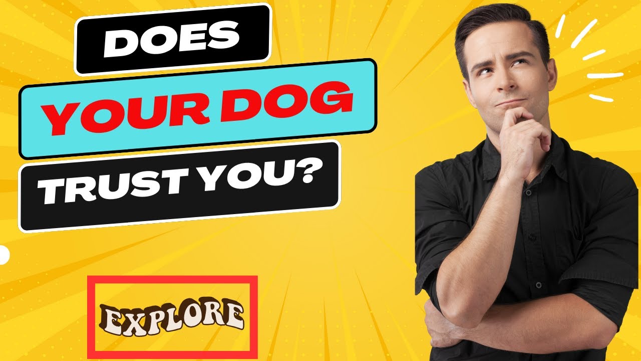 10 signs your dog REALLY trust you - YouTube