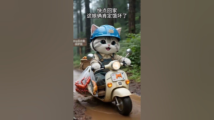 猫爸工地聚餐，自己不舍得吃带回家给猫宝！杯勺轻碰间，是我们偷藏的人间小美满！#有趣 #分享 #动物 #猫咪 #狗狗