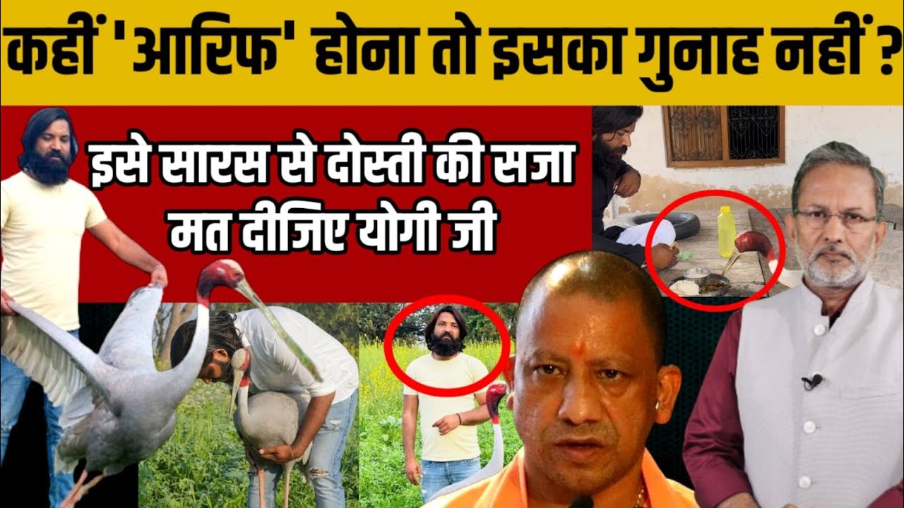 Yogi Adityanath के राज में आरिफ को मिलेगी सारस से दोस्ती की सज़ा ? Ajit Anjum