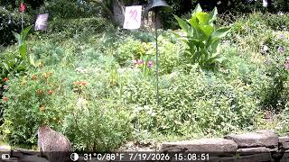 07192026groundhog2