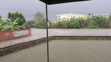 Tết Nguyên Đán Canh Tý 2020