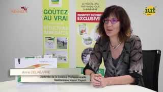 Témoignage d'Anne DELABARRE - LP Assistant gestionnaire export