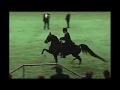 Adams Fire - 2008 U.S. National Champion Half-Arabian English Pleasure