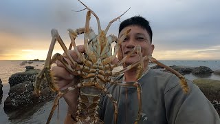 大潮後岸邊留下一條條暗溝，阿彬伸手一探就中大貨，白賺幾百塊