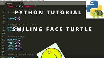 Python Turtle Graphics Tutorial  - Smile face
