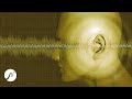 Tinnitus sound therapie  tinnitus heilen  ohrgerusche loswerden 4 stunden