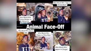 Gorilla vs Grizzly Bear!! Mndiaye_97 Animal FaceOff Compilation!!