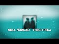 NILO, Nuricko - унеси река