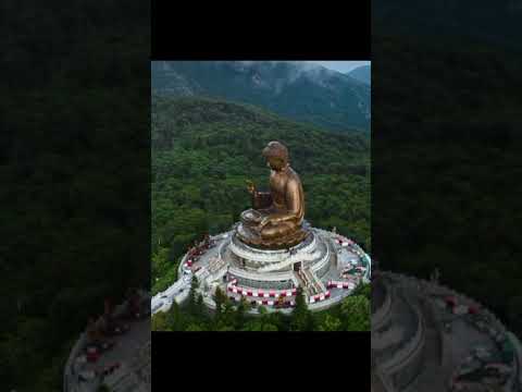 Video: Ghid turistic Big Buddha Hong Kong