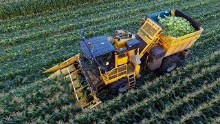 Sweet harvest | Oxbo 2475 corn picker | Organic sweet corn harvest 2017