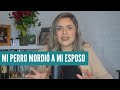 MI PERRO MORDIÓ A MI ESPOSO | STORYTIME