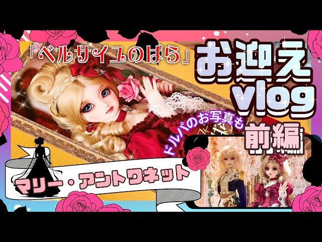 BJD] We welcome Marie Antoinette from The Rose of Versailles