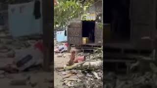 aftermath typhoon Verbena #barilicebu #bagyongverbena